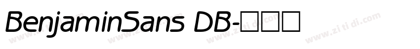 BenjaminSans DB字体转换